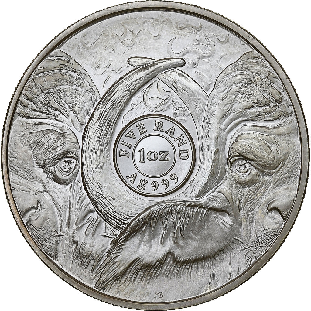 Sudáfrica, 5 Rand, le Buffle, 2021, South Africa Mint, 1 Oz, Plata, FDC
