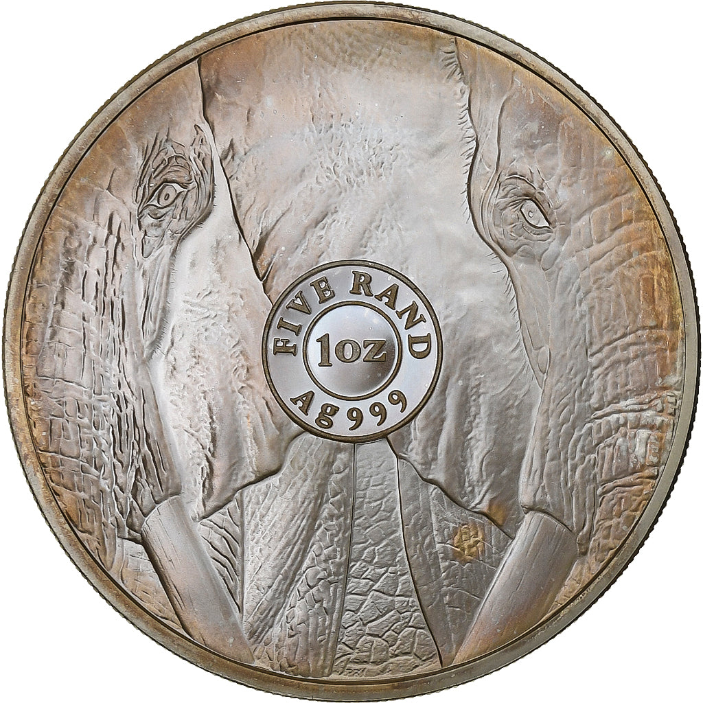 Sudafrica, 5 Rand, ELEPHANT, 2019, South Africa Mint, 1 Oz, Argento, FDC