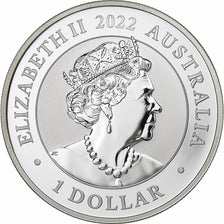 Austrália, 1 Dollar, BLACK SWANS Colorée, 2022, 1 Oz, Proof, Prata, MS(60-62)