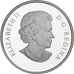 Canada, 20 Dollars, Banque du Canada, 2010, Ottawa, 1 Oz, Proof, Silver
