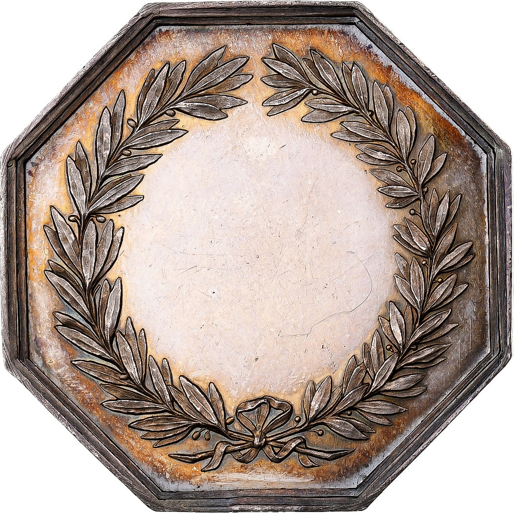 France, Médaille, ASSURANCES LE MIDI, après 1880, Argent, SUP