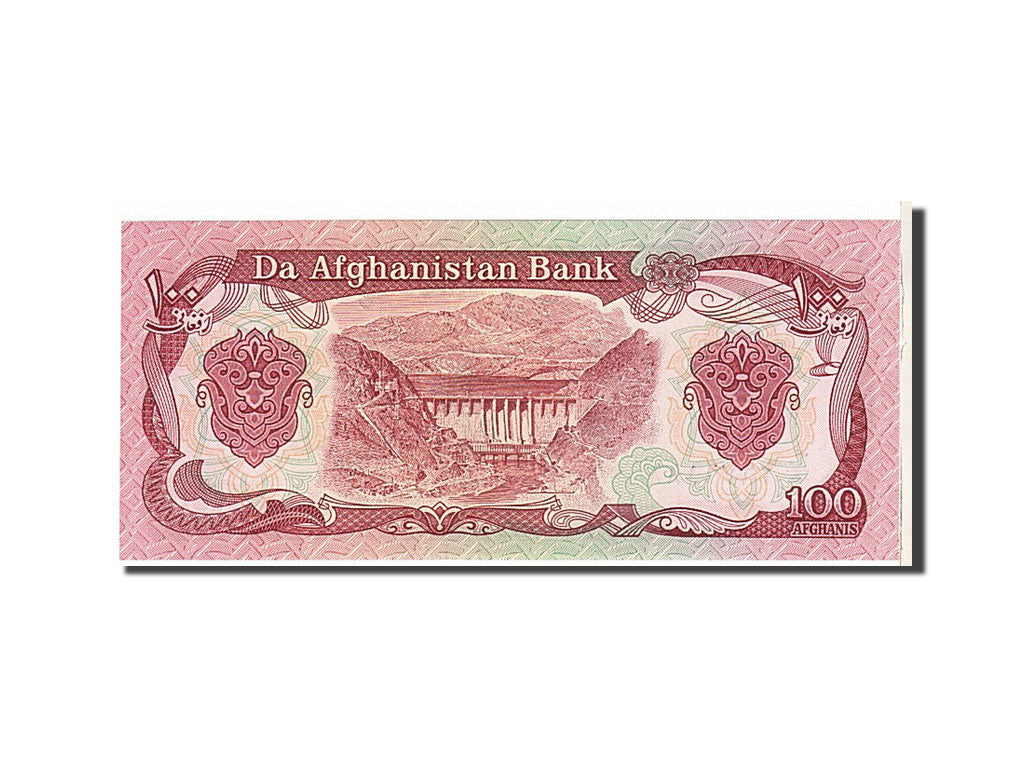 Banknote, Afghanistan, 100 Afghanis, 1991, KM:58c, UNC(65-70)