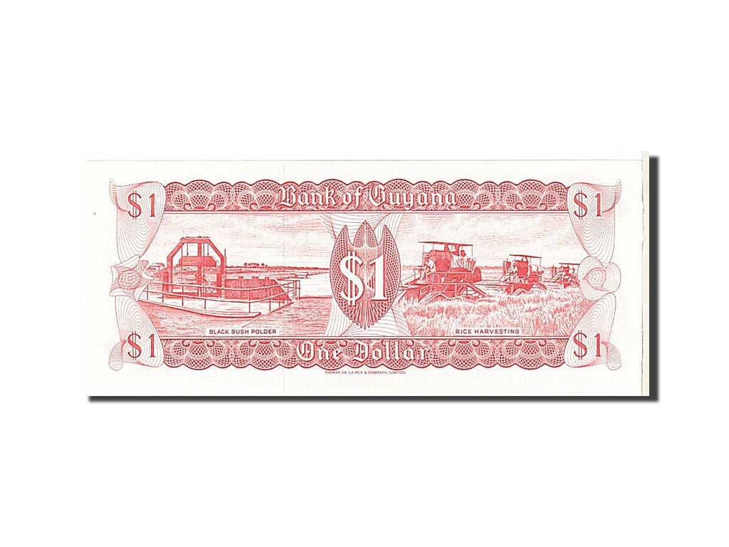 Billete, 1 Dollar, 1989, Guyana, KM:21f, UNC
