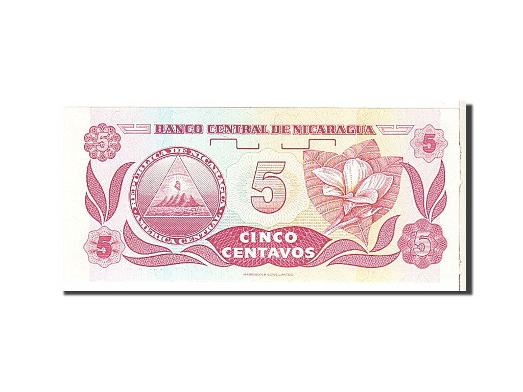 Geldschein, Nicaragua, 5 Centavos, 1991, UNZ