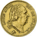 France, Louis XVIII, 40 Francs, 1816, Perpignan, Gold, AU(55-58), Gadoury:1092