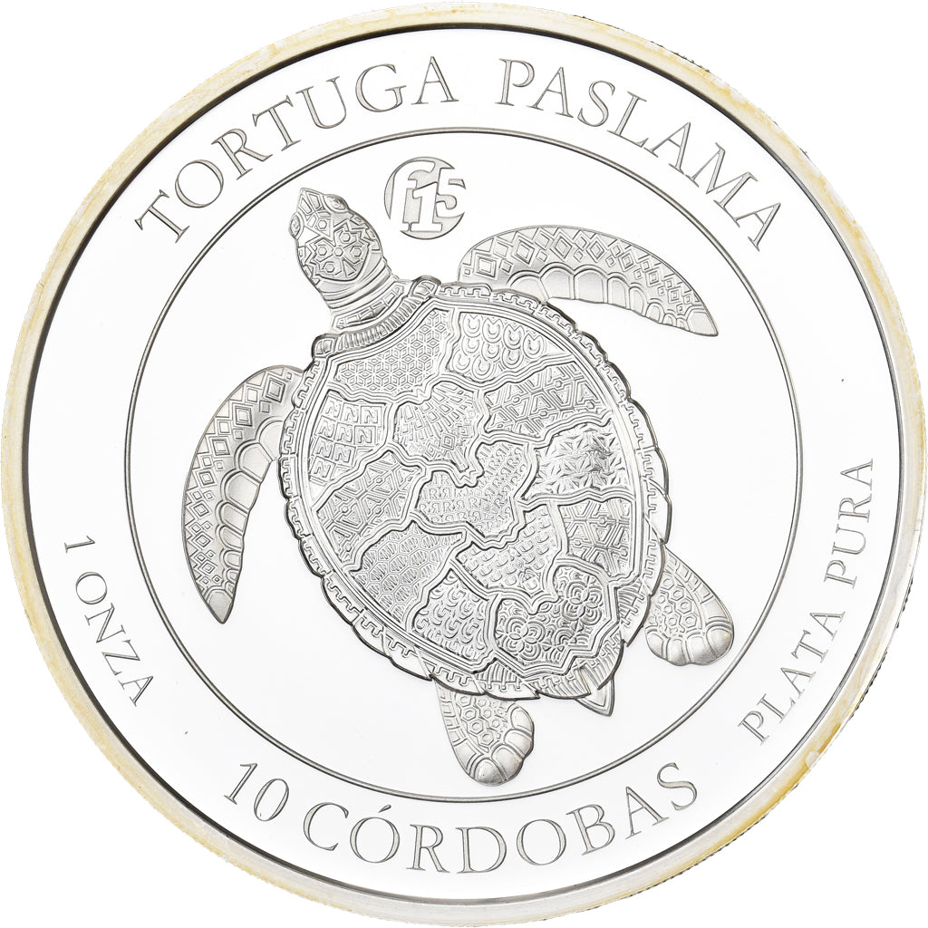 Nicaragua, 10 Cordobas, Tortuga Paslama, 1 Oz, F15, 2019, Karlsfeld, Silber