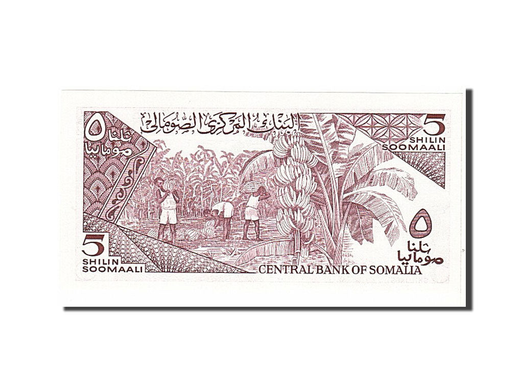 Banknote, Somalia, 5 Shilin = 5 Shillings, 1987, KM:31c, UNC(65-70)