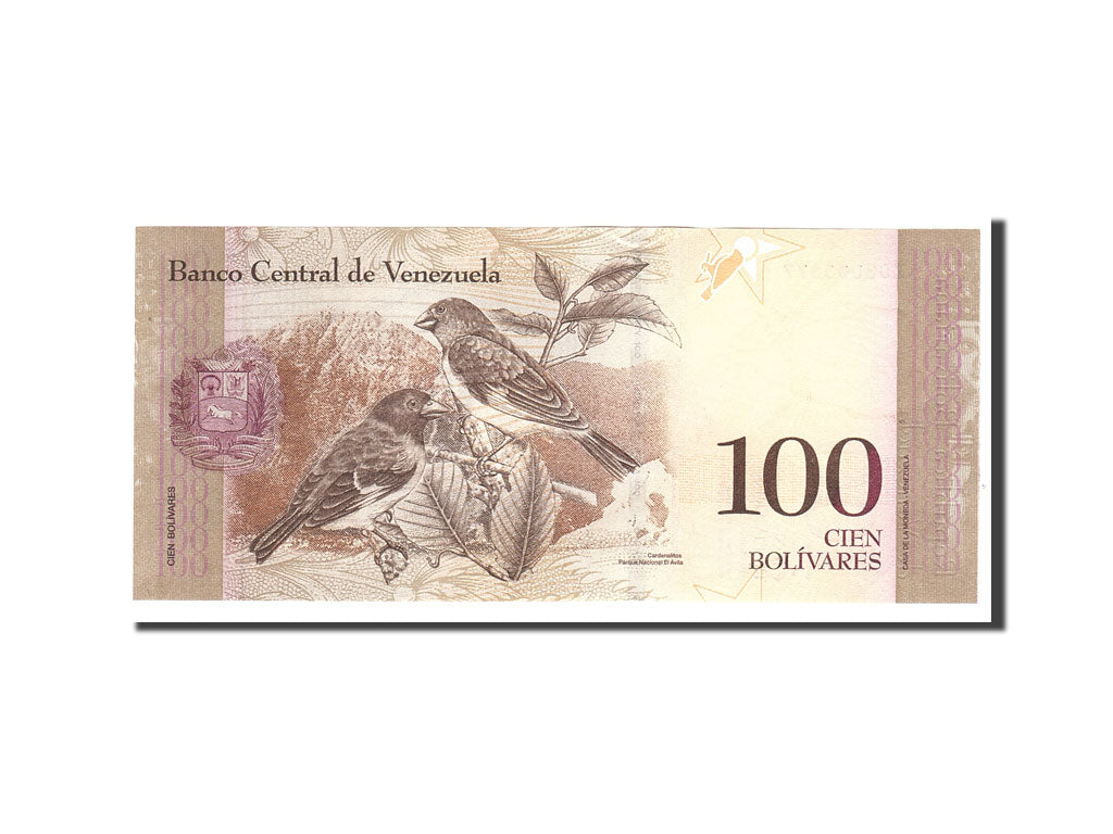 Billete, 100 Bolivares, 2011, Venezuela, KM:93d, 2011-02-03, UNC