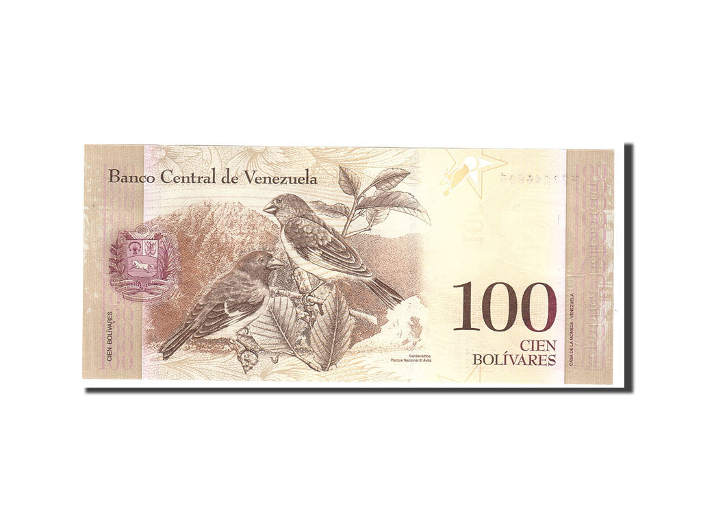 Banknote, Venezuela, 100 Bolivares, 2009, 2009-09-03, KM:93c, UNC(65-70)