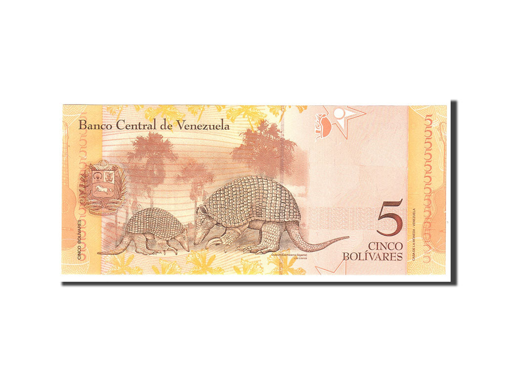 Banknote, Venezuela, 5 Bolivares, 2007, 2007-03-20, KM:89a, UNC(65-70)