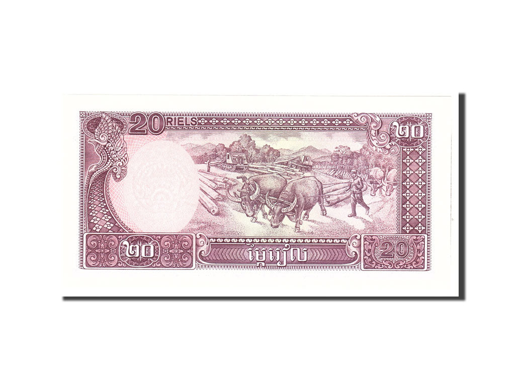 Banknote, Cambodia, 20 Riels, 1979, Undated, KM:31a, UNC(65-70)