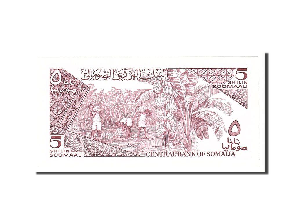 Banknote, Somalia, 5 Shilin = 5 Shillings, 1987, Undated, KM:31c, UNC(63)