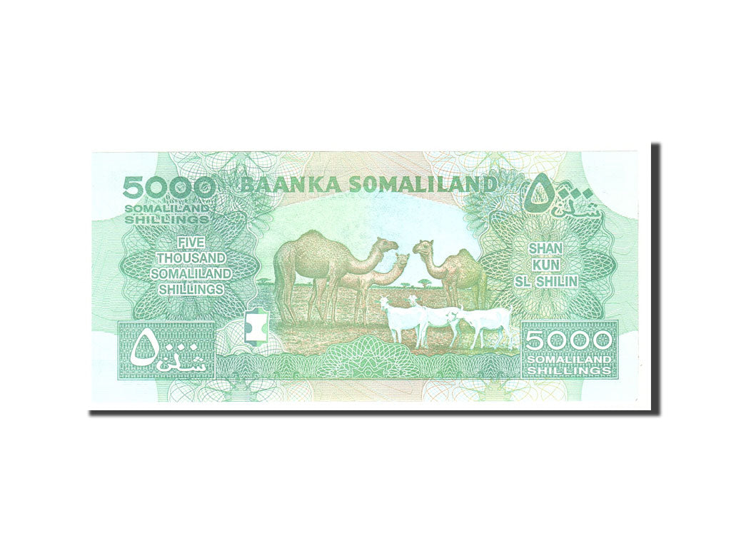 Billet, Somaliland, 5000 Shillings, 2011, Undated, KM:21, NEUF