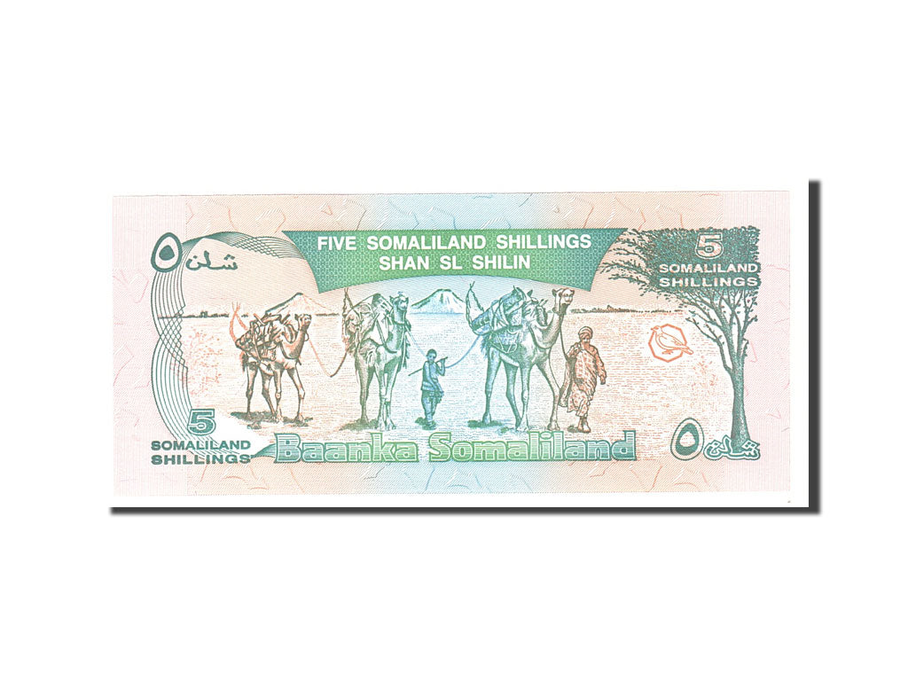 Banknote, Somaliland, 5 Shillings = 5 Shilin, 1994, Undated, KM:1a, UNC(65-70)
