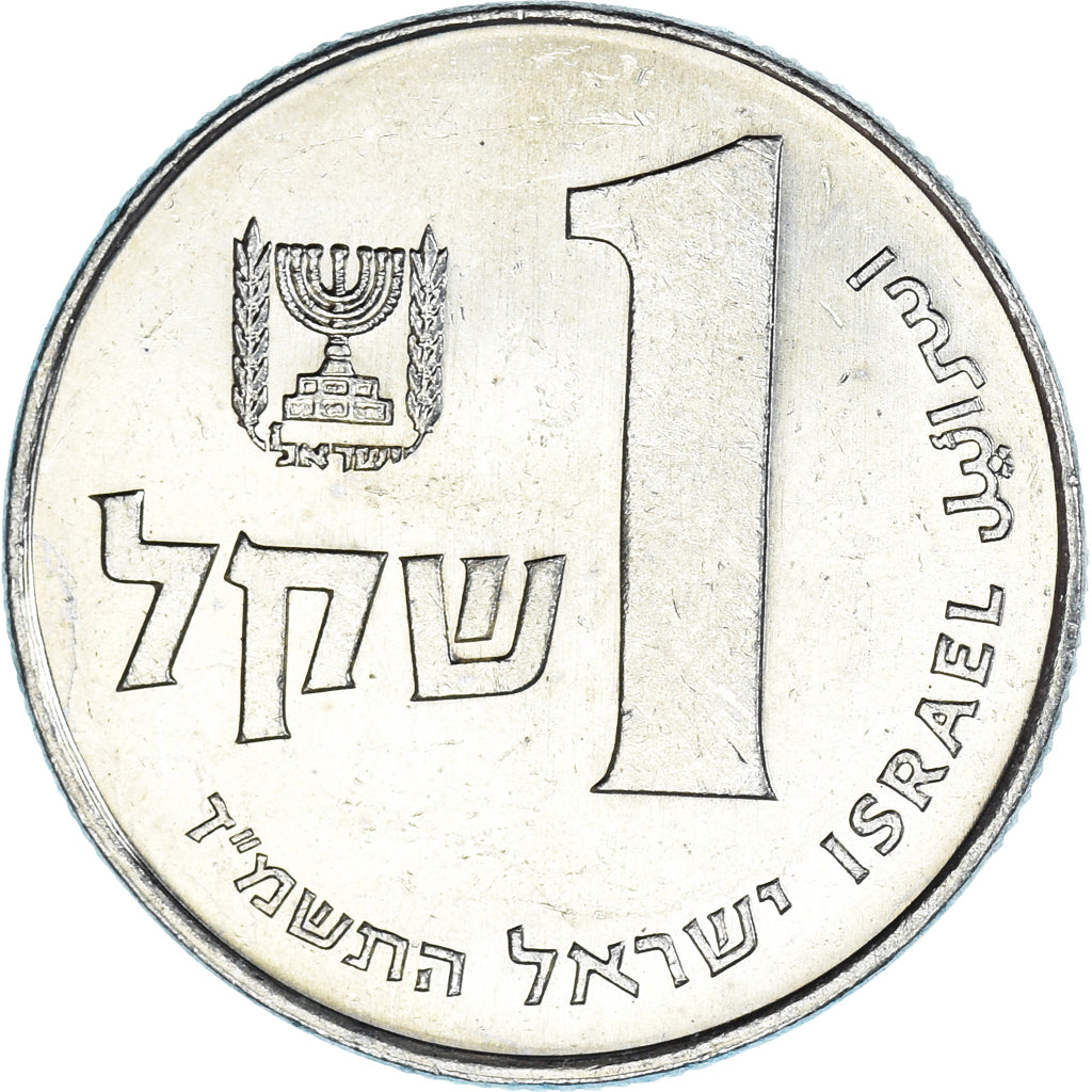 Coin, Israel, Sheqel, 1984