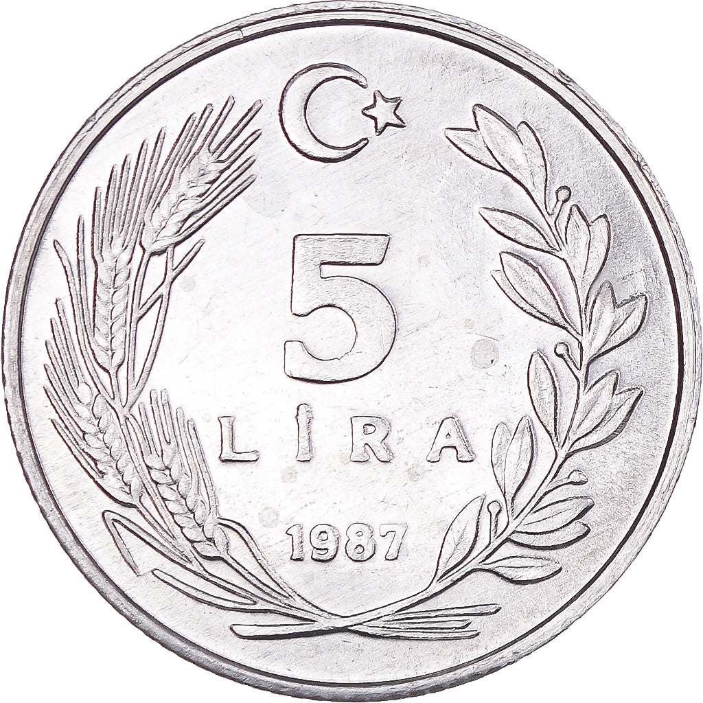 Moneta, Turchia, 5 Lira, 1987, SPL, Alluminio, KM:963