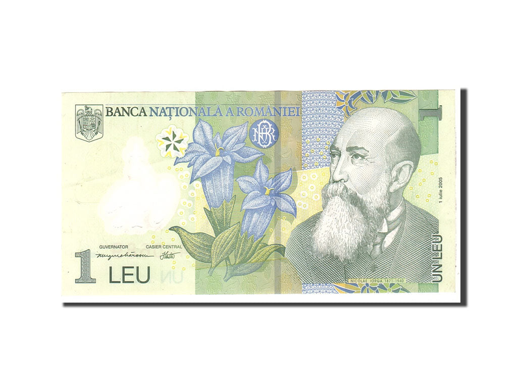Banknote, Romania, 1 Leu, 2005, 2005-07-01, KM:117a, EF(40-45)