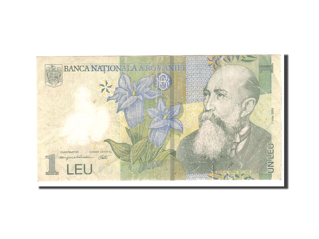 Banknote, Romania, 1 Leu, 2005, 2005-07-01, KM:117a, VF(30-35)