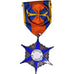Frankrijk, Etoile du Mérite Franco-Allié, Chevalier, WAR, Medaille, Excellent