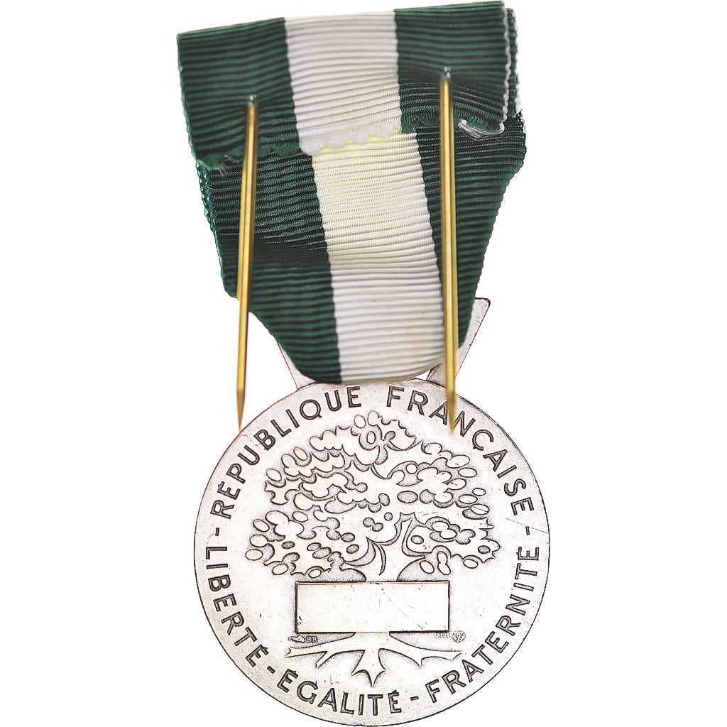 France, Médaille d'honneur communale, régionale et départementale, Politics