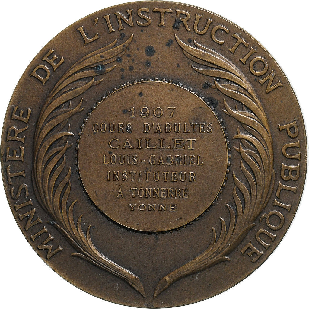 France, Medal, Instruction Publique, Cours d'Adultes, Yonne, 1907, Dubois.A