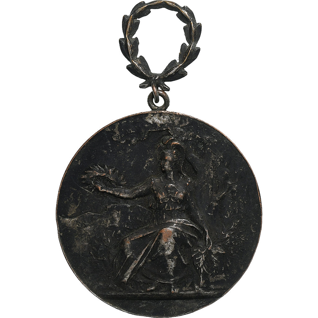 France, Medal, Délégation Cantonale de Poissy, Certificat d'Etudes, 1910