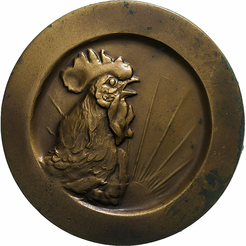 France, Médaille, Coq, A.I.C.P, 25ème Anniversaire, Lyon, 1984, TTB, Bronze