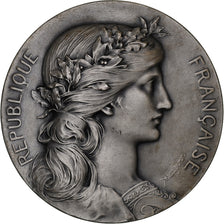 Frankreich, Medaille, Souvenir de la Grande Guerre, 1919, Dupuis.D, UNZ