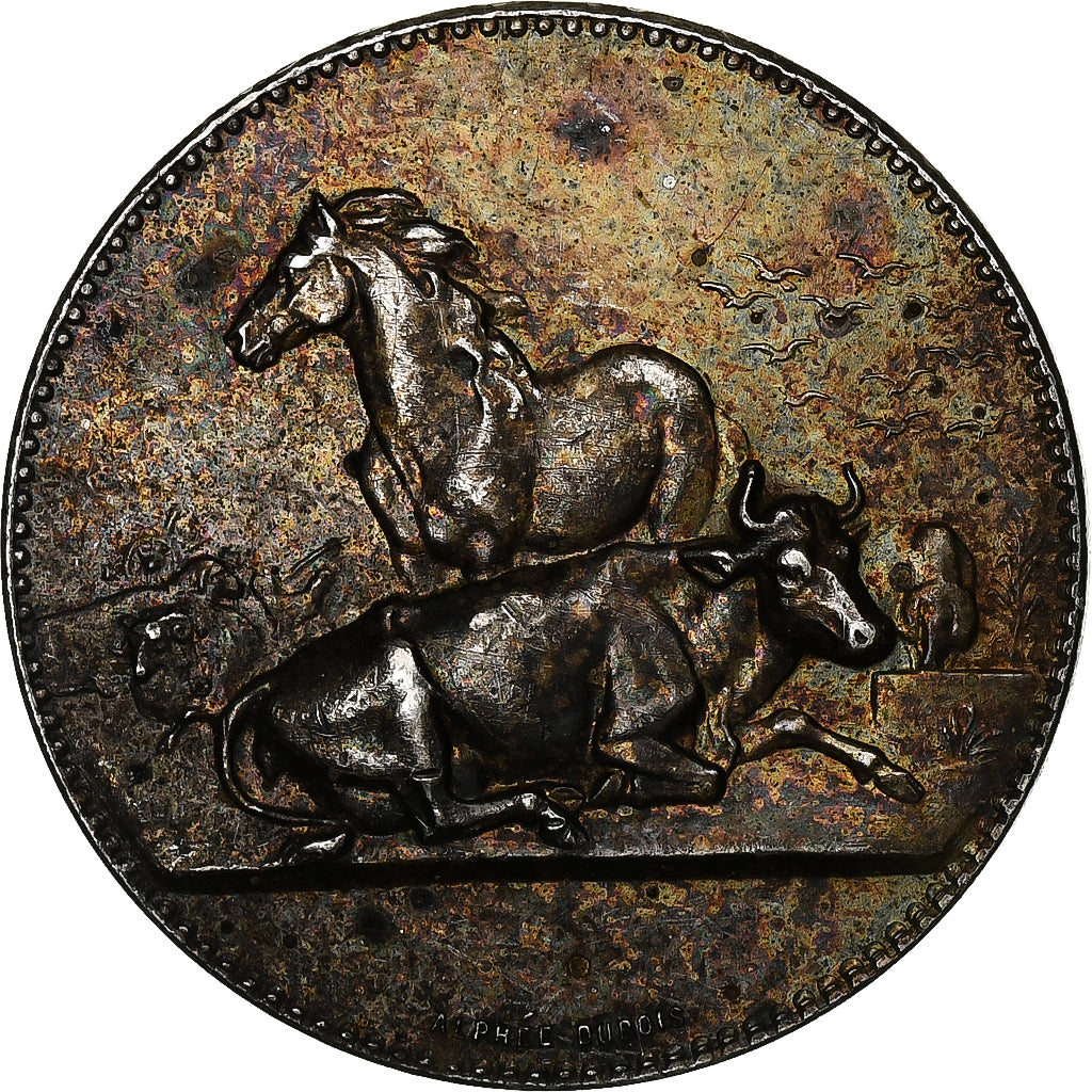 France, Medal, Comice Agricole de Rouen, Silver, Dubois.A, AU(50-53)