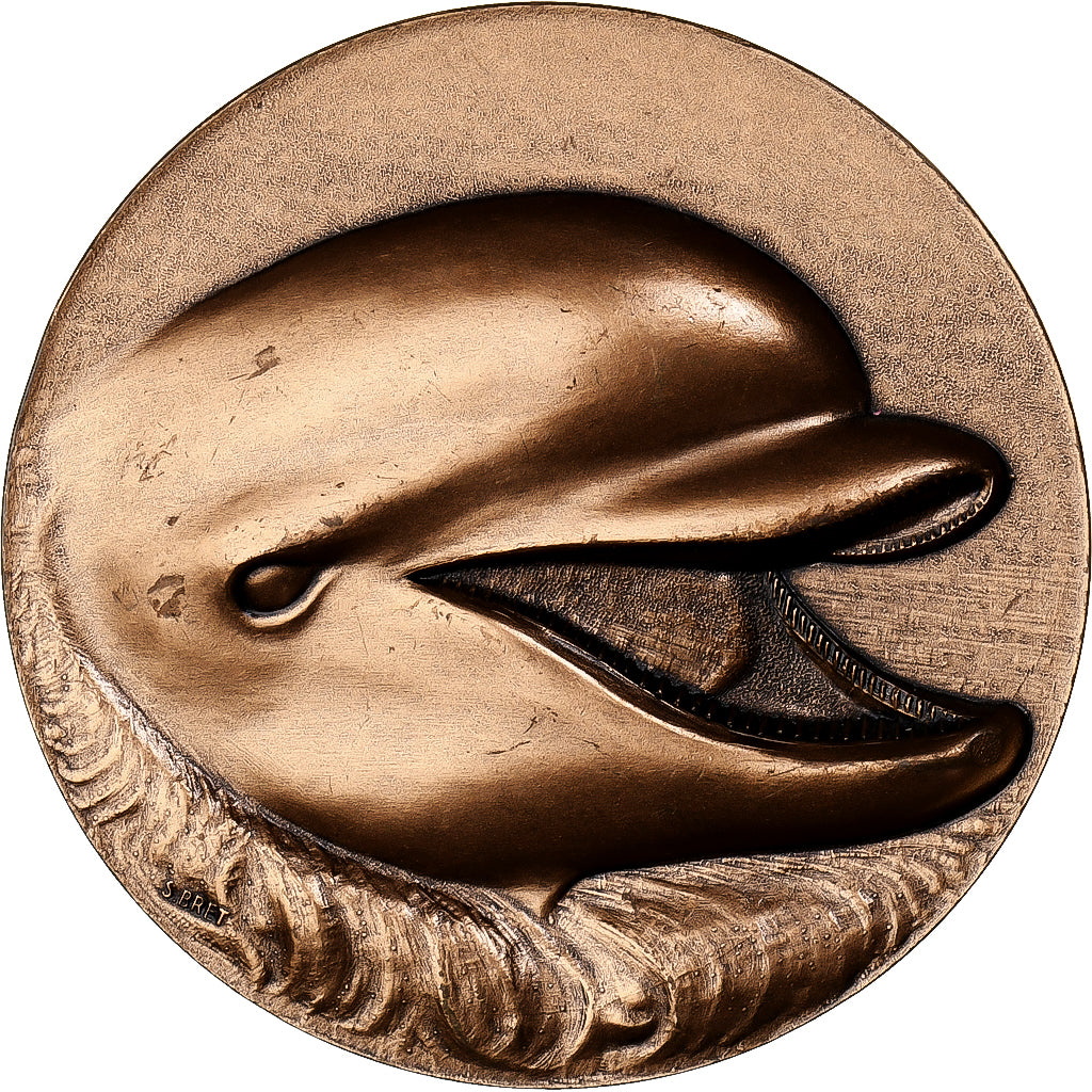 France, Médaille, Les Dauphins, Bronze Florentin, Bret, SUP+