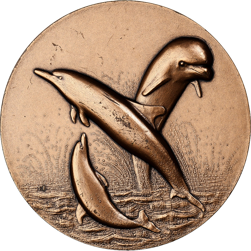 France, Médaille, Les Dauphins, Bronze Florentin, Bret, SUP+
