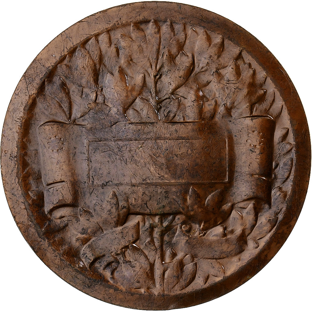 France, Médaille, Gallia, Femme Gauloise Caquée, Bronze, Morlon, SUP