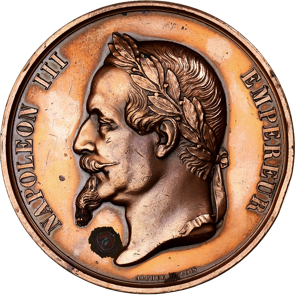 Frankrijk, Medaille, Napoléon Ier, La Ville de Rouen, 1865, Koper, Dubois.A