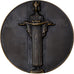 France, Medal, Saint Louis, Bronze, Dammann, AU(55-58)