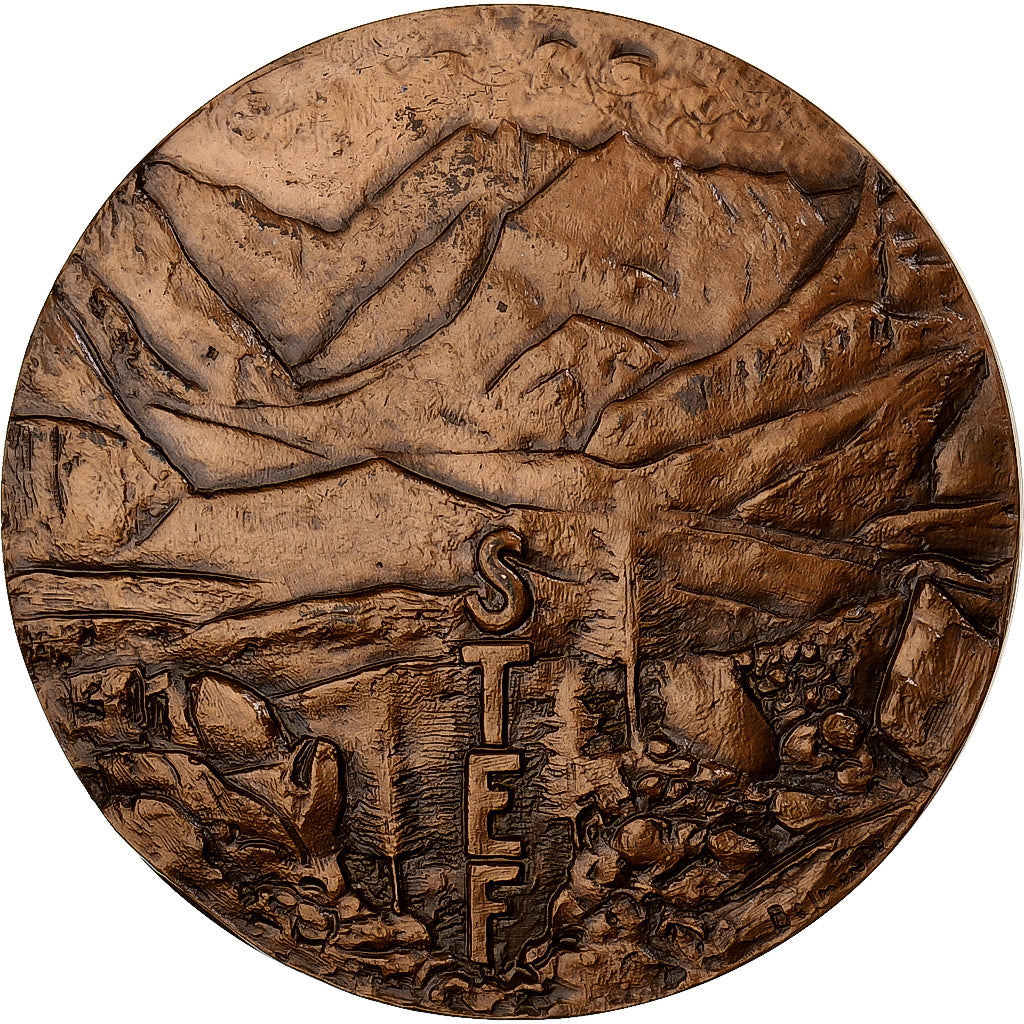 Francia, medaglia, Société Française de Transport et d’Entrepôts