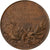 France, Médaille, Décès de Léon Gambetta, 1882, Bronze, O.Roty, SPL+