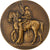France, Médaille, Alsace, Libération de Mulhouse, 1918, Bronze, Dammann, SPL
