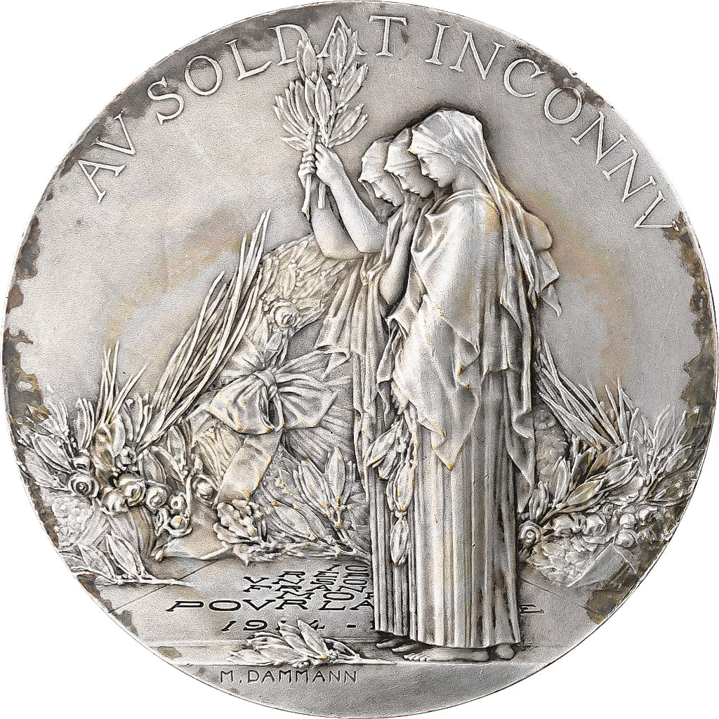France, Medal, Hommage au soldat inconnu, 1920, Silvered bronze, Dammann