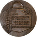 Francia, medalla, 60ème Anniversaire de l'Armistice, 1978, Bronce, Delamarre