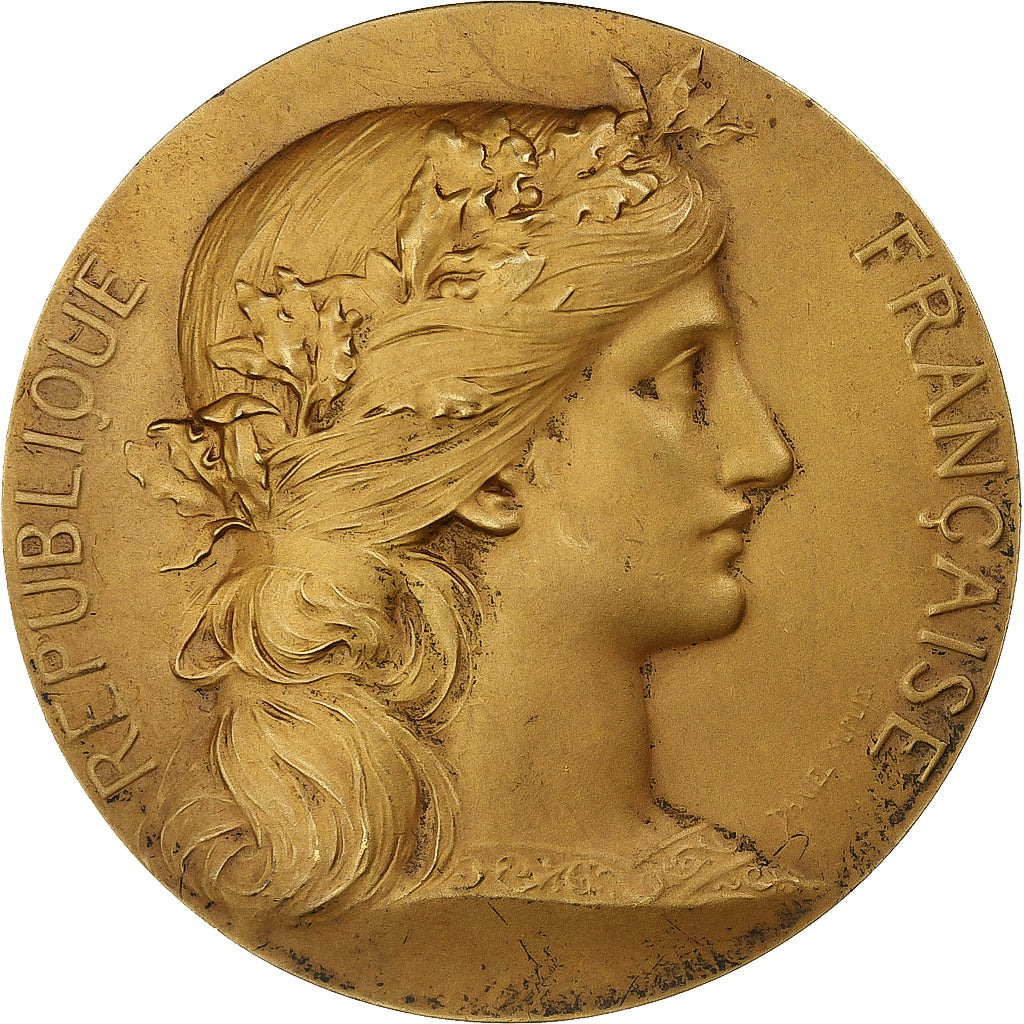 Frankrijk, Medaille, 1er Régiment de Chasseurs Malgaches, Spire, 1920, Vermeil