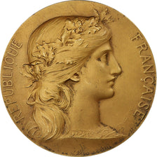 Frankrijk, Medaille, 1er Régiment de Chasseurs Malgaches, Spire, 1920, Vermeil