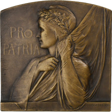 France, Médaille, Pro Patria, Ministre de la Guerre, Bronze, Legastelois, SUP