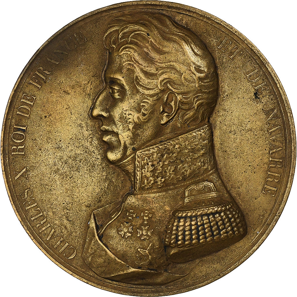 Francia, medaglia, Abdication de Charles X, 1830, Bronzo, Caqué, BB