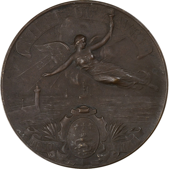 Collectible bronze medals