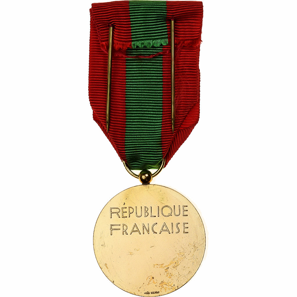Francia, Médaille de la Famille Française, medaglia, Eccellente qualità