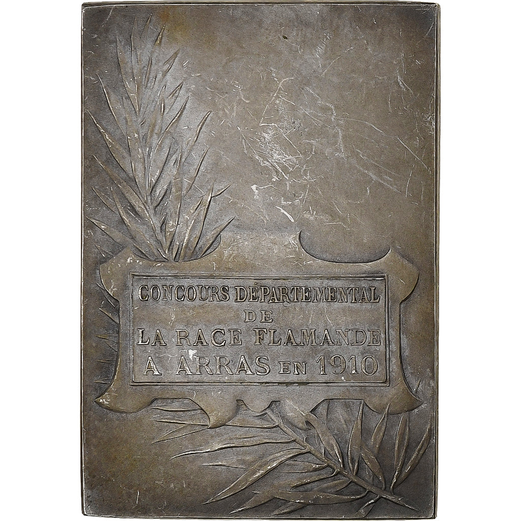 France, Medal, Concours Départemental de la Race Flamande, Arras, 1910
