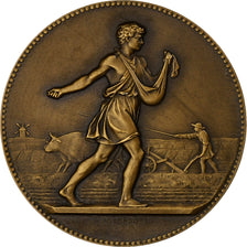 France, Medal, Associations Agricoles, République française, Bronze, Lagrange