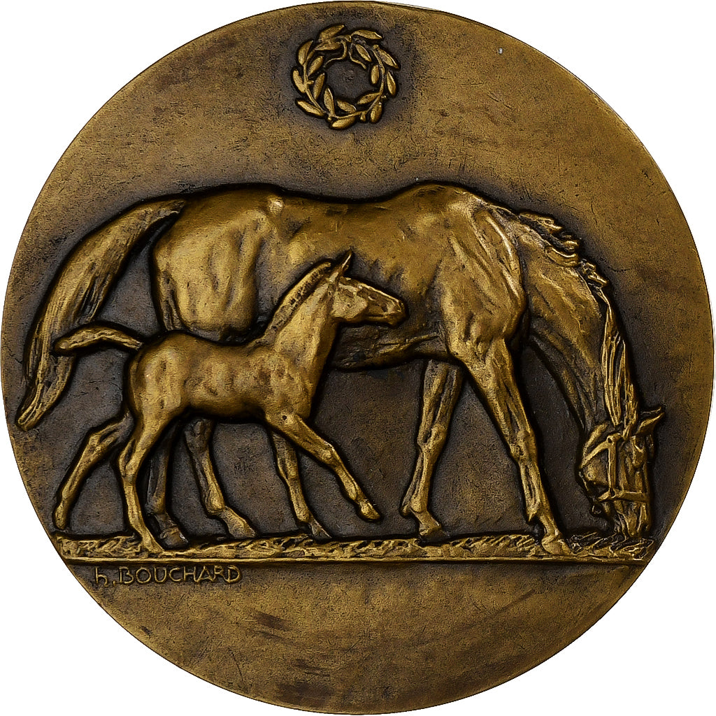 Francja, medal, Chevaux, Elevage Reproduction, Brązowy, Bouchard, MS(63)