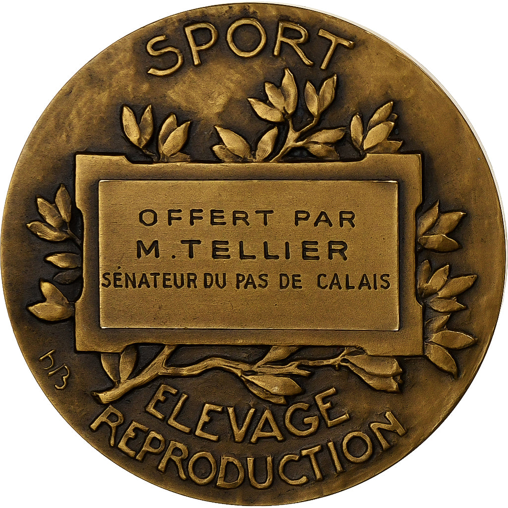 Francja, medal, Chevaux, Elevage Reproduction, Brązowy, Bouchard, MS(63)
