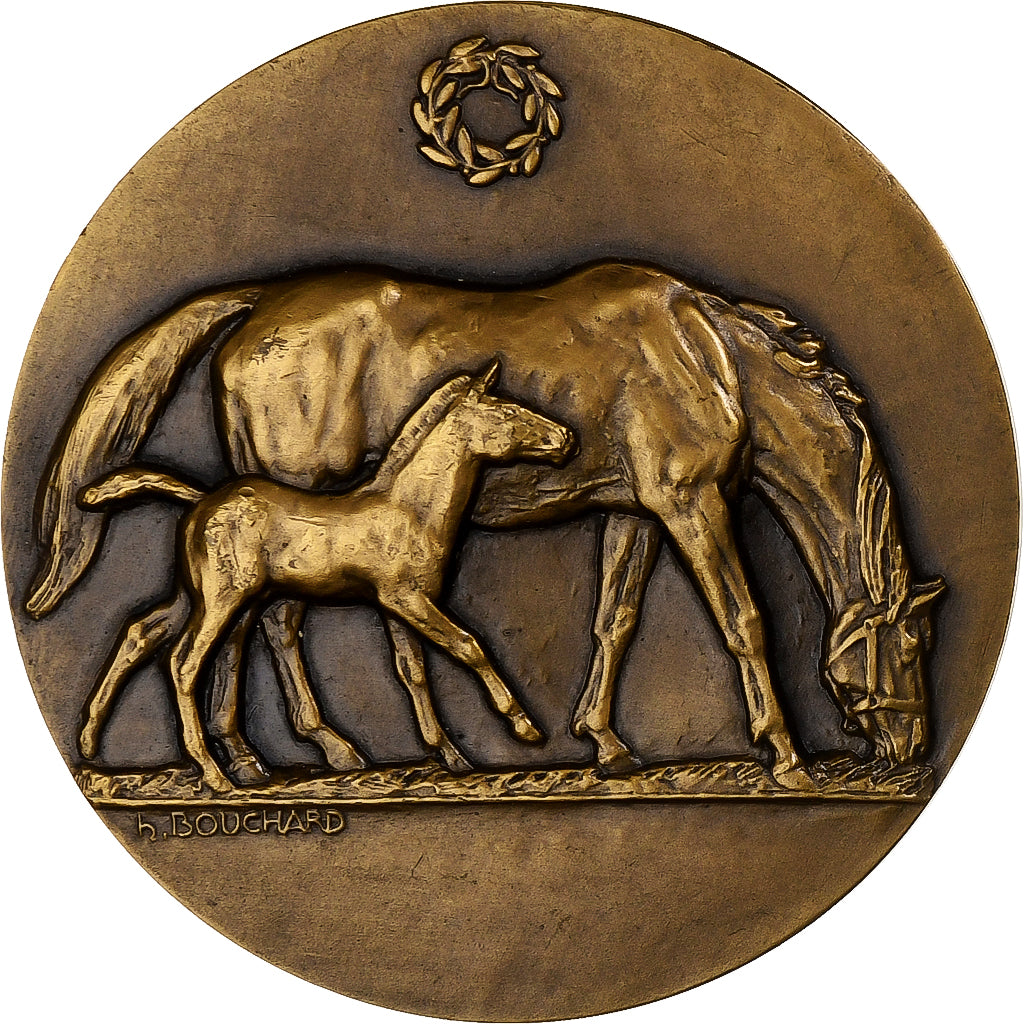 Frankreich, Medaille, Chevaux, Elevage Reproduction, Bronze, Bouchard, UNZ+